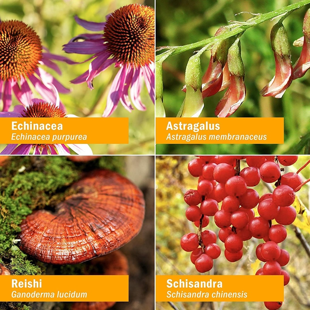 herb-pharm-daily-immune-builder-herbal-i-3.jpg