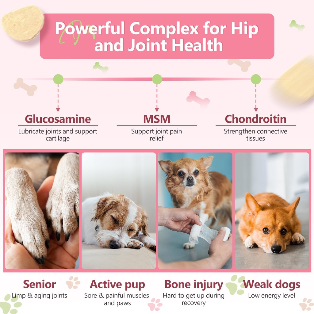 glucosamine-for-dogs-and-salmon-oil-for--2.jpg