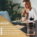 mushroom-gummies-10-mushroom-supplement--3.jpg