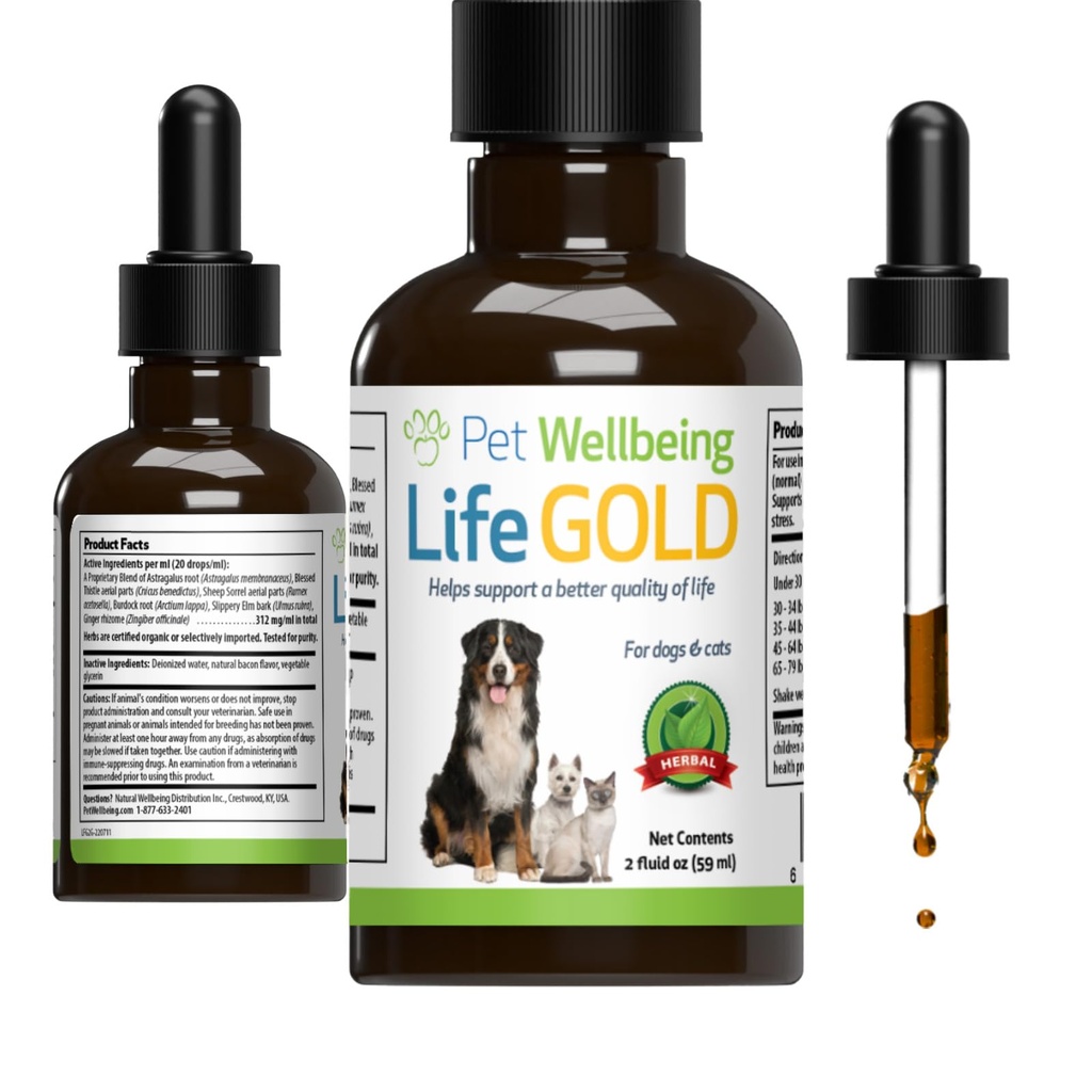 pet-wellbeing-more-mushrooms-kit-for-dog-6.jpg