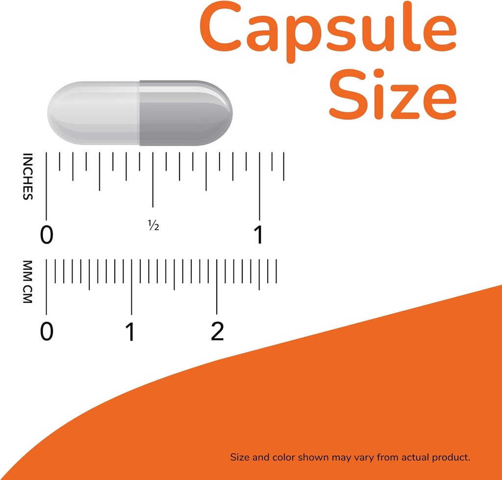 now-foods-supplements-coral-calcium-plus-3.jpg