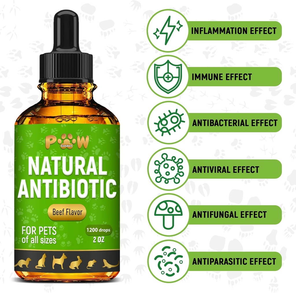 antibiotics-for-dogs-antibiotics-for-cat-2.jpg