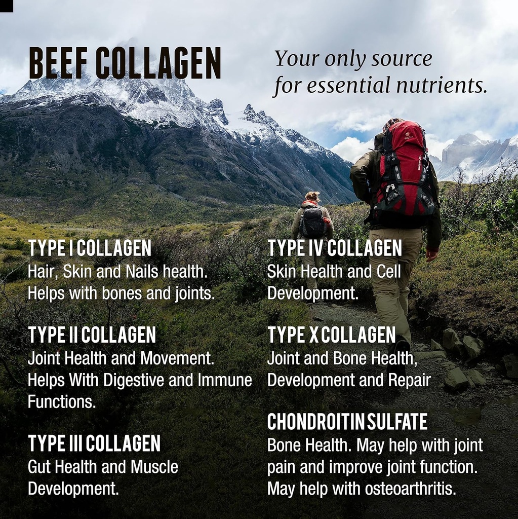 beef-organs-and-collagen-6.jpg