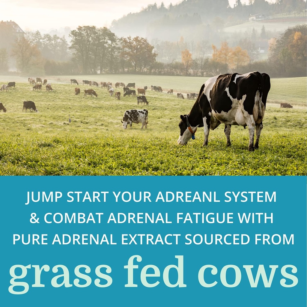 adrenergy-best-process-alkaline-natural--6.jpg
