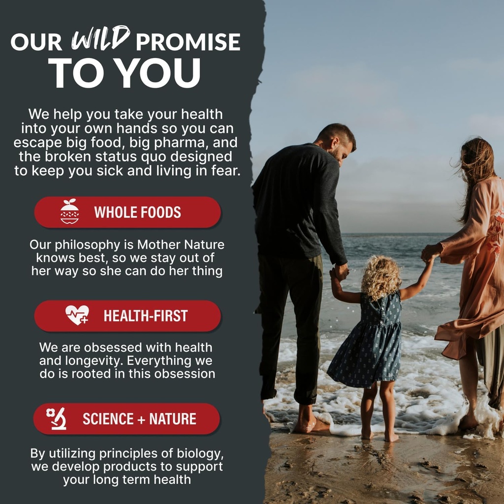 wild-focus-brain-supplements-caffeine-fr-6.jpg