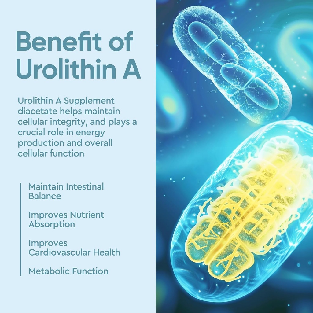 urolithin-a-supplement-1000mg-healthy-ag-5.jpg