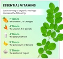 organic-moringa-nutrient-dense-antioxida-5.jpg