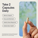brain-supplements-for-memory-and-focus-f-3.jpg