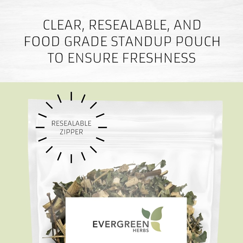 evergreen-herbs-epazote-de-comer-herb----2.jpg
