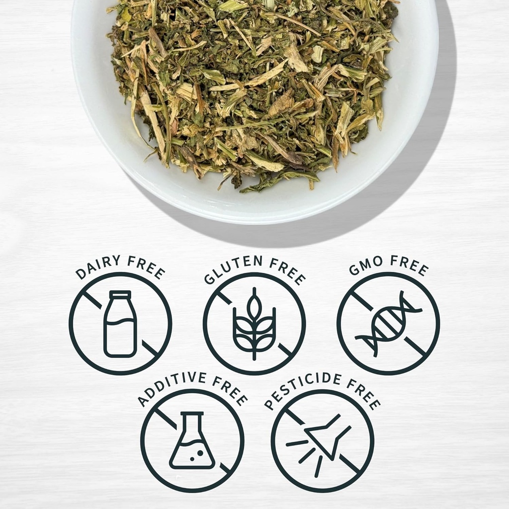 evergreen-herbs-epazote-de-comer-herb----3.jpg