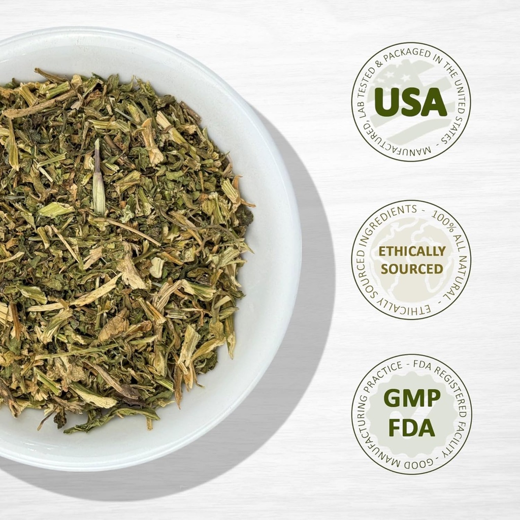 evergreen-herbs-epazote-de-comer-herb----4.jpg