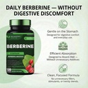 potent-1200mg-berberine-supplement-120-c-4.jpg