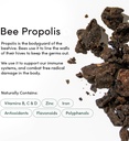 beekeepers-naturals-nasal-spray-for-adul-5.jpg