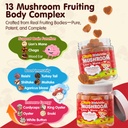 lilicare-bundle-mushroom-lions-mane-saff-6.jpg