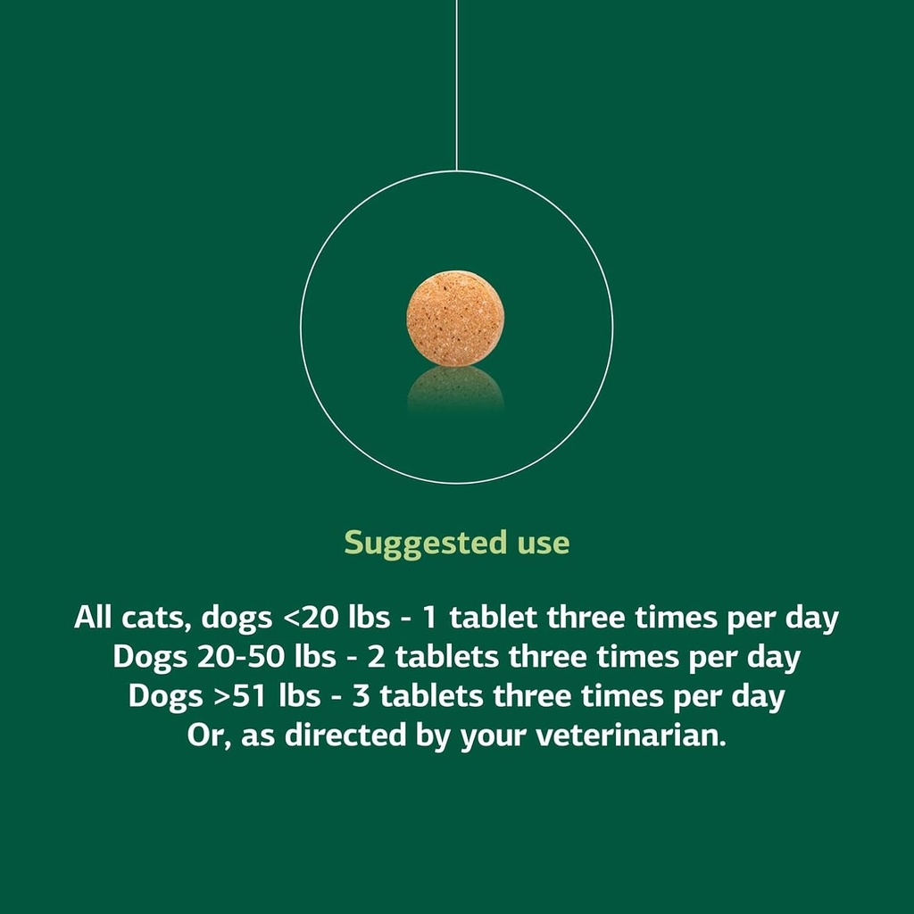 standard-process-inc-vf-thymex-for-pets--5.jpg