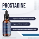 prostadine-daily-liquid-men-s-wellness-s-2.jpg