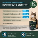 vetriscience-veterinary-strength-healthy-3.jpg
