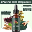 betterbrand-sea-moss-drops-liquid-supple-3.jpg