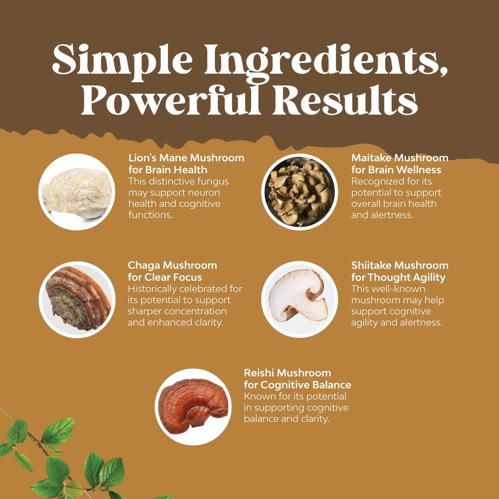 advanced-lions-mane-mushroom-supplement--4.jpg