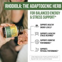 max-strength-siberian-rhodiola-rhodiola--5.jpg