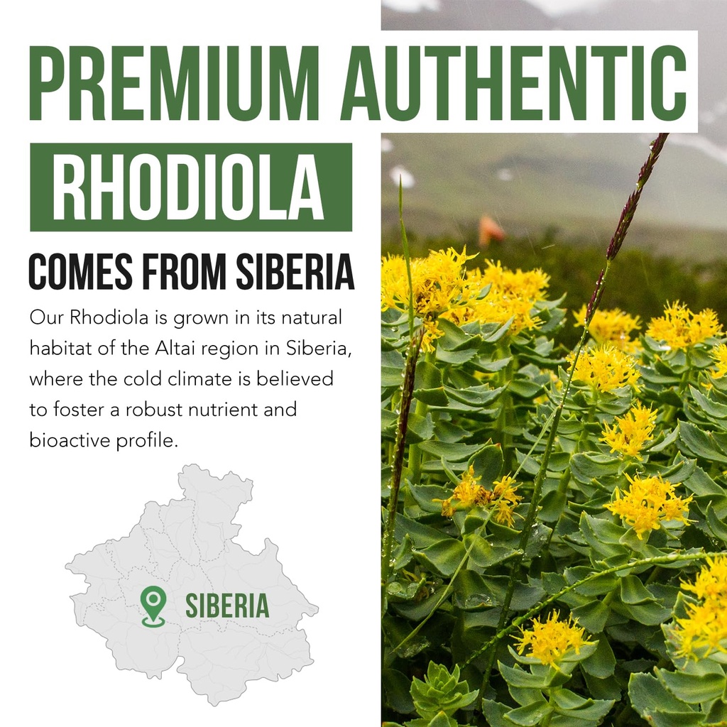 max-strength-siberian-rhodiola-rhodiola--4.jpg