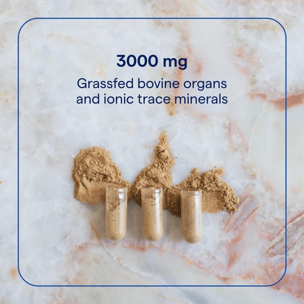 trace-minerals-beef-organs---beef-organ--2.jpg