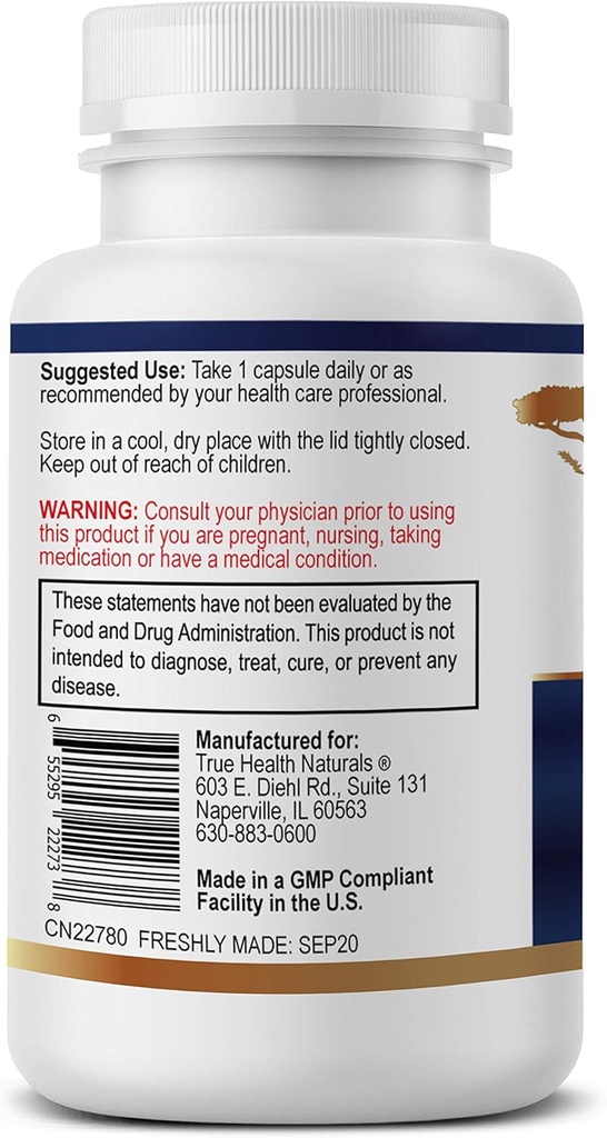 motor-connect-brain-supplement---60-vege-2.jpg