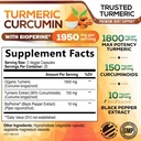 turmeric-curcumin-supplement-95-curcumin-2.jpg