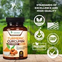turmeric-curcumin-supplement-95-curcumin-4.jpg