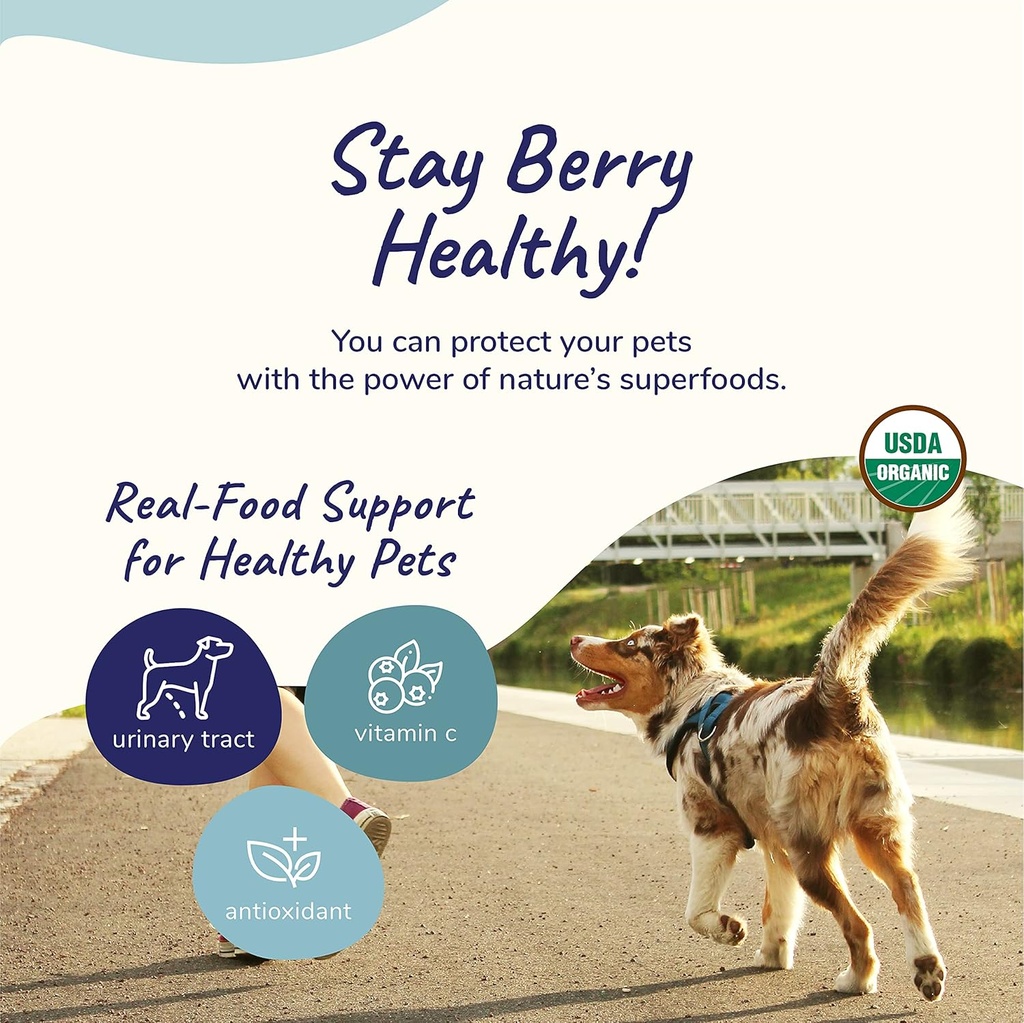 kinkind-dog-supplement-powder---suppleme-5.jpg