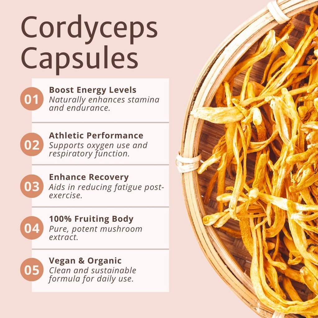 magic-doze-cordyceps-mushroom-capsules---4.jpg