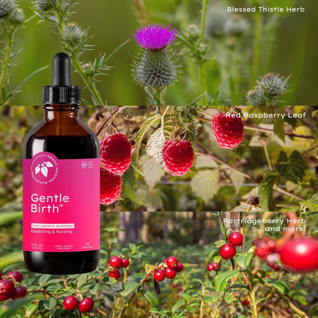 mountain-meadow-herbs-gentle-birth-for-b-4.jpg