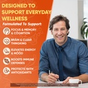 brain-supplements-for-memory-and-focus-1-4.jpg