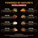 brain-boost-energy-and-focus-gummies-60p-6.jpg