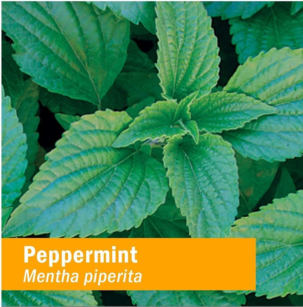 herb-pharm-peppermint-spirits-organic-1--6.jpg