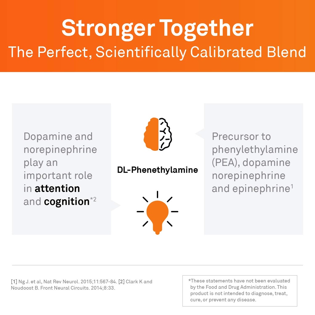 neuroscience-focus-dl-brain-supplements--5.jpg