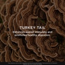 the-genius-brand-genius-turkey-tail-plan-5.jpg