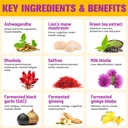 mushroom-gummies-4000mg-brain-supplement-2.jpg
