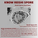 organic-reishi-mushroom-capsules-with-10-4.jpg