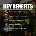 bare-performance-nutrition-endurance-ess-3.jpg