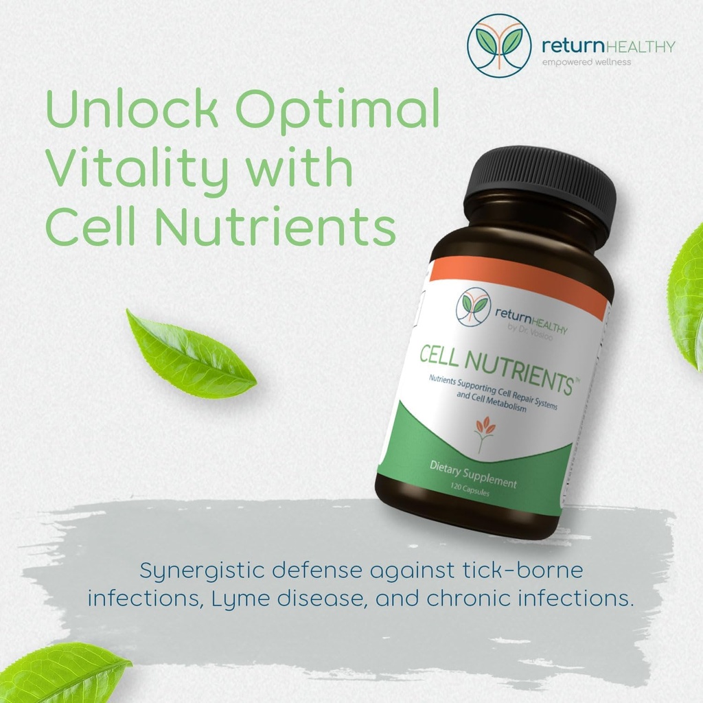 cell-nutrients-promotes-cell-and-membran-2.jpg