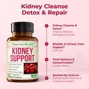 kidney-support-supplement-kidney-cleanse-5.jpg