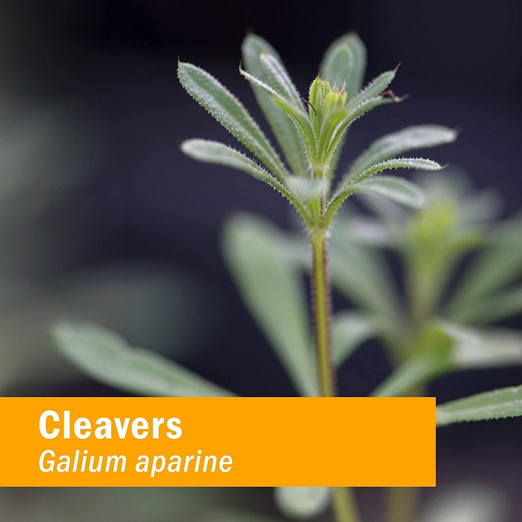 herb-pharm-cleavers-liquid-extract---4-o-5.jpg