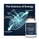 rooted-miltivitamin-with-brain-supplemen-3.jpg