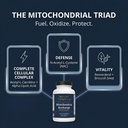 rooted-miltivitamin-with-brain-supplemen-4.jpg