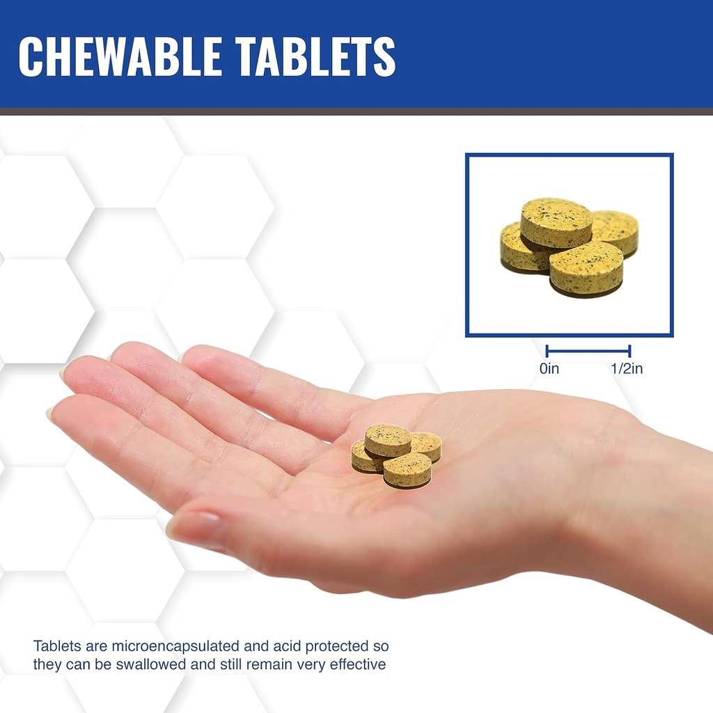 maac10-nadh-coq10-chewable-tablets-3-pac-6.jpg
