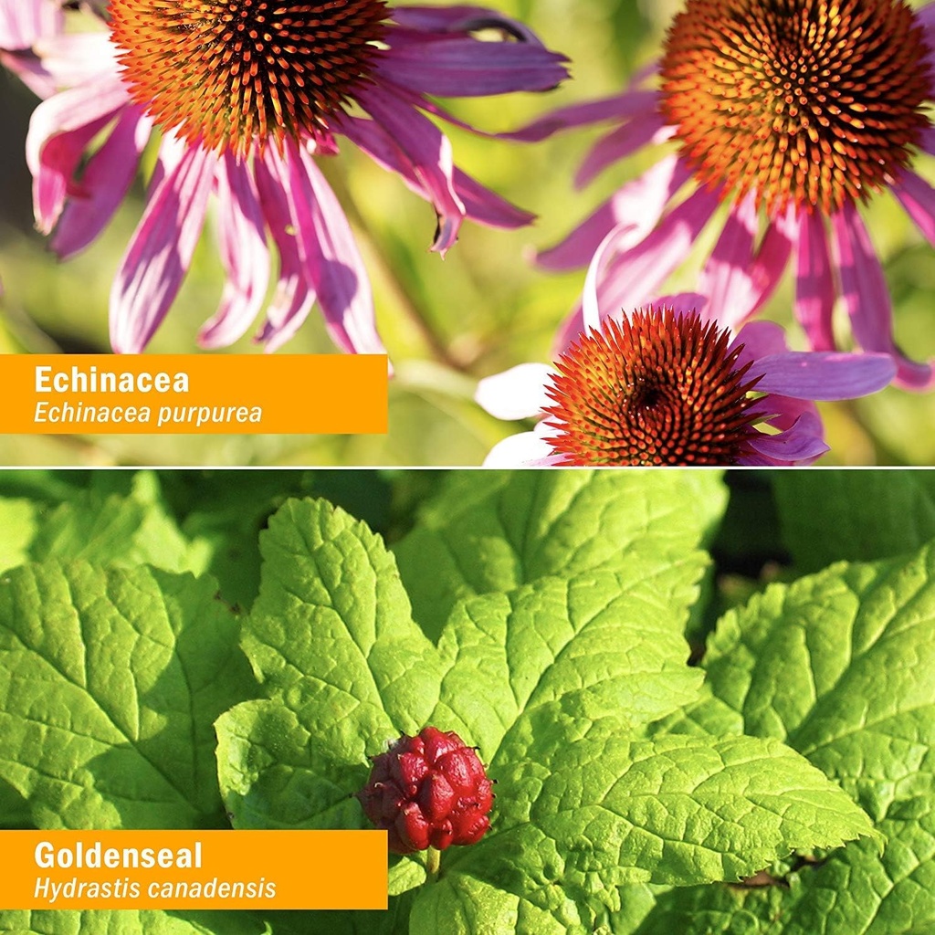 herb-pharm-organic-rapid-immune-boost-fa-3.jpg