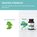 himalaya-ginkgo-biloba-60-day-supply-her-6.jpg