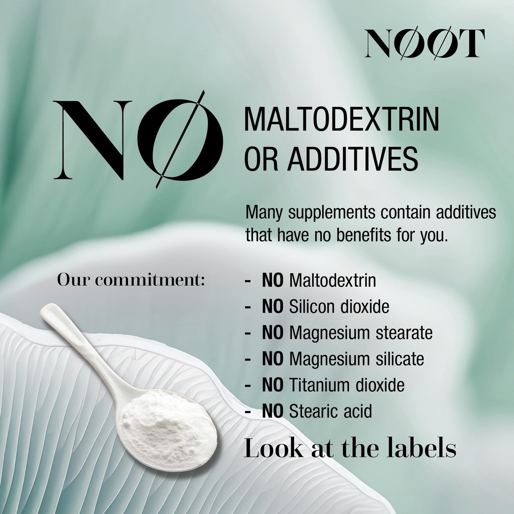 noot-neuro-flame-ginkgo-biloba-supplemen-5.jpg
