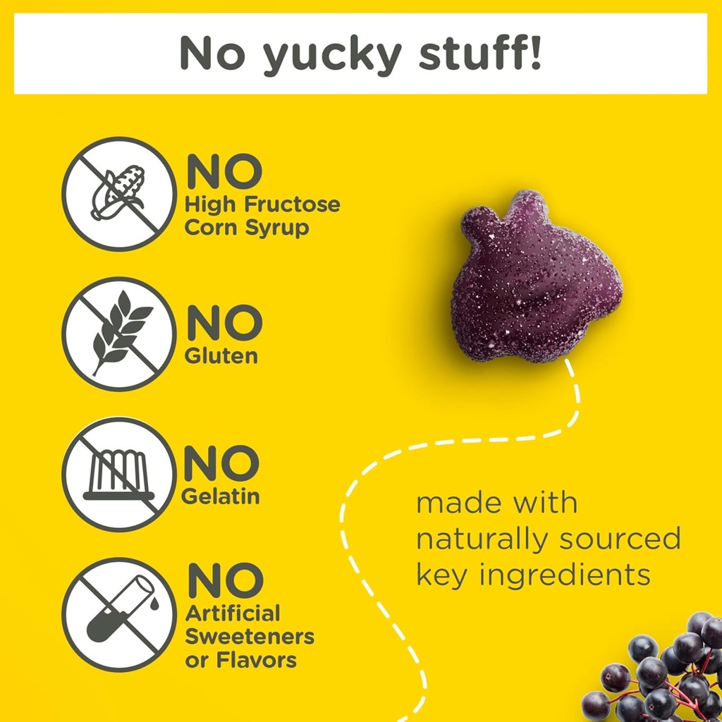 zarbees-kids-elderberry-immune-support-s-2.jpg
